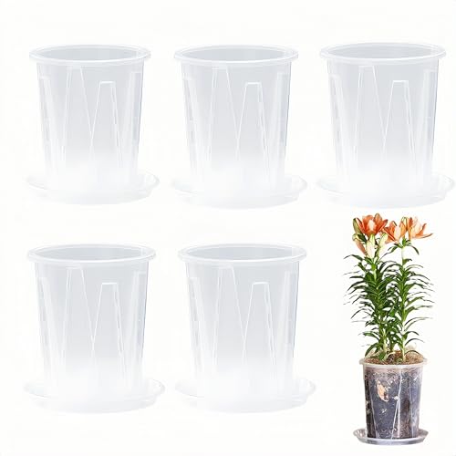 5 Pcs Clear Plastic Orchid Pots with Holes and Saucers for Plants,14 x 16.5 cm Transparent Pot Breathable Slotted Orchids Planter Hard Flower Pots Nursery Pots, Houseplant