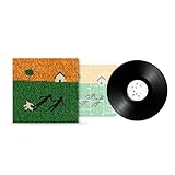 Calcinacci (Vinile Standard)