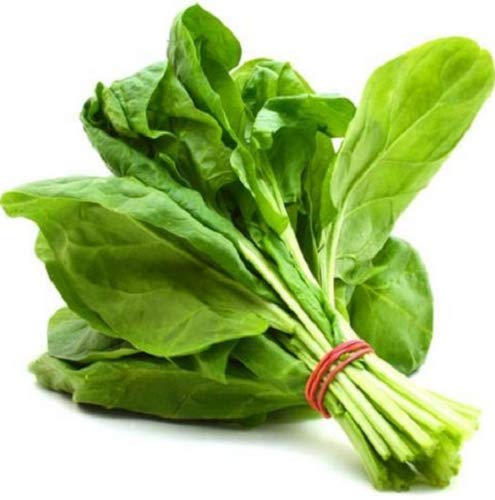 IndianAgro Palak Spinach Seeds - leafy vegetable seeds - hybrid seeds pack of 30 seeds