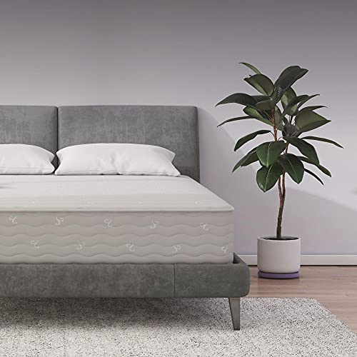 Signature Sleep Contour 10" Reversible Mattress, Independently Encased Coils, Bed-in-a-Box, Queen*