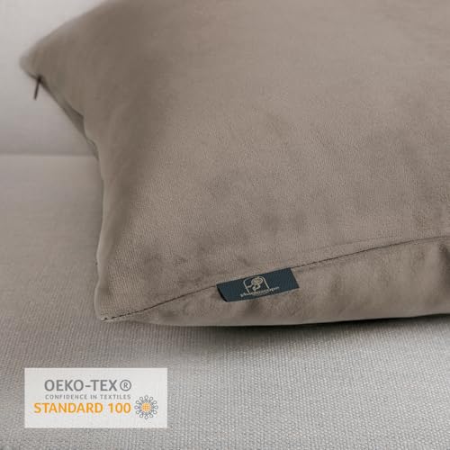Phantoscope Pack of 2 Velvet Decorative Throw Decorative Pillow Cover Soft Solid Square Cushion Case for Couch Taupe 20 x 20 inches 50 x 50 cm