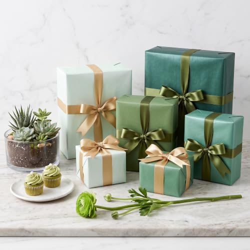 Image of BEISHIDA 90 Sheets Sage Green Series Tissue Paper Bulk for Gift Wrapping | 6 Colors 14 x 20 Inch for Crafts and Gift Bags for Birthday Wedding Garden Baby Shower Holiday Decorative