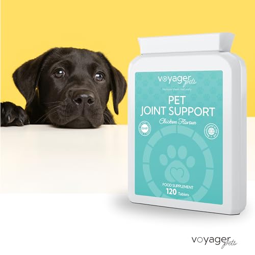 Voyager Pet Joint Support Supplement for Cats & Dogs | Chicken Flavour 120 Tablets| May Helps to Support Joints & Mobility with Glucosamine, Chondroitin, Green Lipped Mussel & MSM - Image 3