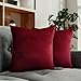 Housse Coussin 50x50 cm en Velours Bordeaux (Set de 2) - pour Coussins Decoratifs pour Canapes - Housses de Coussin Oeko-TEX - Coussin Decoratif Lit - Housse Oreiller Dreamzie