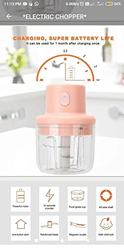 Urja Enterprise Mini Electric Garlic Chopper USB Rechargeable, Powerful Mini Onion Chopper Electric Food Chopper , 250ML