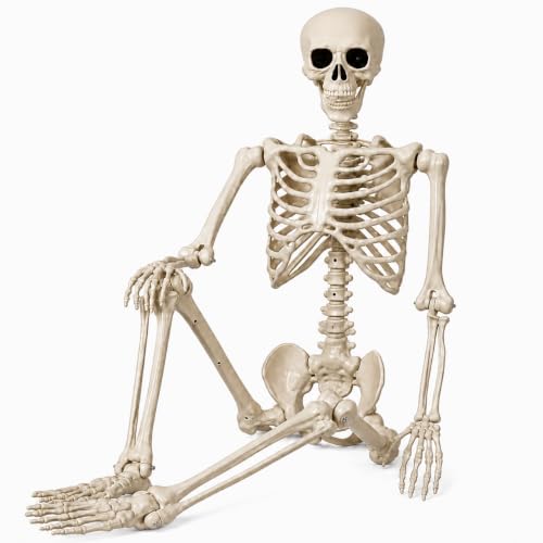 Image of QUSTGO 36" Halloween Skeleton - 3 ft Life Size Human Skeleton with Full Body Posable Joints - Spooky Scary Plastic Skeletons for Halloween Outdoor Decoration, Party Decor, Haunted House Props