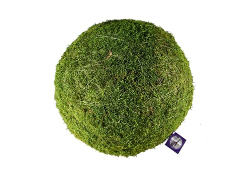 SUPERMOSS Bolas de Musgo, Color Verde Fresco, Paquete de 6