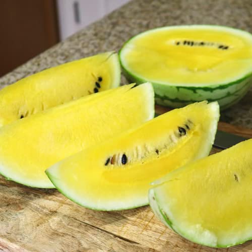 CHUXAY GARDEN Yellow Crimson Watermelon Seed 500 Seeds Non-GMO Edible Fruit Gardening Grows in Just Weeks