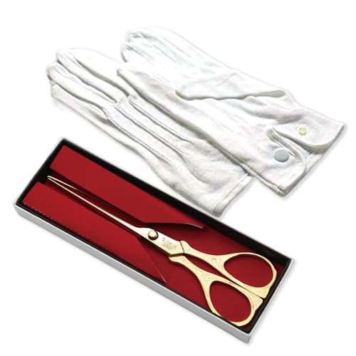 e[vJbg͂ 20cm F ܕt T \ {  Cxg  Zj[ P[X