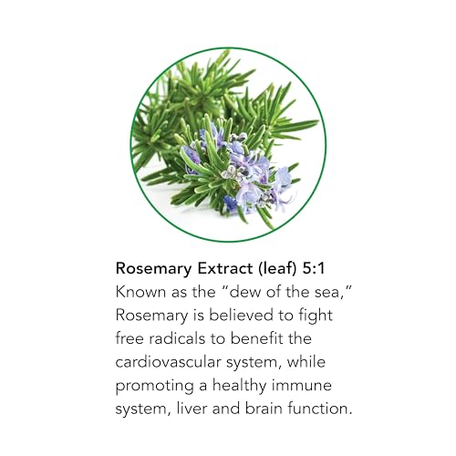 Image of Botanic Choice - Rosemary Leaf Liquid Extract - Alcohol Free, Gluten Free - Fast Acting Supplement Drops - Easy to Use Dropper - 1 Fluid Ounce