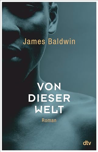 Von dieser Welt: Roman 3423281537 Book Cover