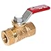 Legend Valve 101-000 Forged Brass Micro Ball Valve, 0.8"x1.6"x1.5"