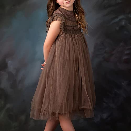 Girls Lace Dress Girls Children's Clothes Puffy Mesh Dress Flower Girl Dress Princess Dress Baby Girl Dresses 184