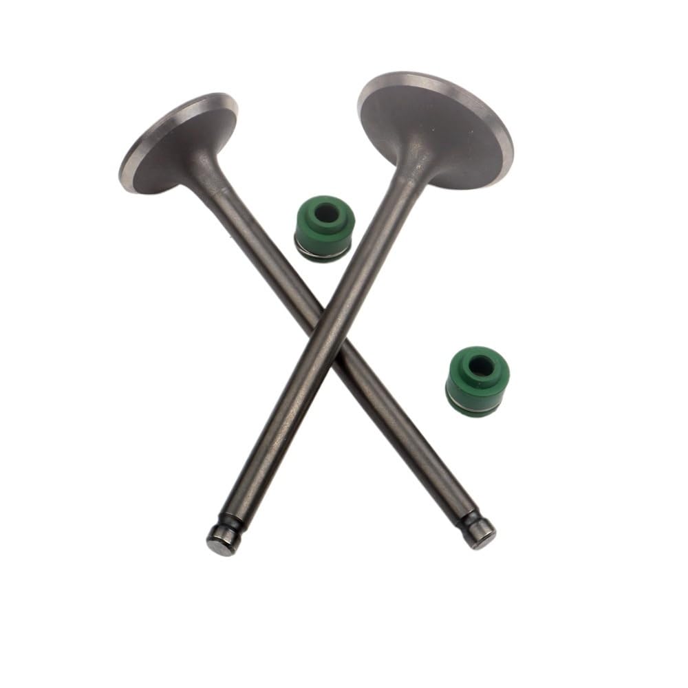 Valvole di aspirazione e scarico da 2 pezzi compatibili con moto CB125 125CC CB125S 125CC XL125 125CC 4 tempi