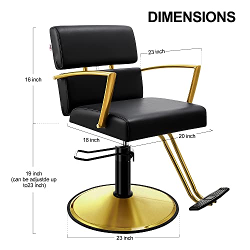 Baasha Salon Chair, Hydraulic Hair Chair With Open Back Designed, Black And Gold Salon Chair, Beauty Chair Equipment Salon Chair For Hair Stylist, Weight Capacity Up To 330 Lbs - Matte Gold #TOP2