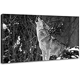 Black and White Wolf Wall Art Wild Animal Wall Decor Wolf in Snow Scene Wall Art Grey Wolf Wildlife