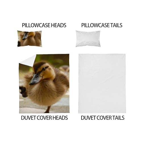 Housse de couette microfibre animaux avec taies d'oreiller pour lit single - 5