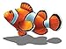Clown Fish Porcelain Swimming Pool Mosaic (5