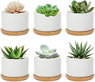 Warmplus 7.5CM Succulent Plant Pots, Simple Design Round Small Flower Pot, White Ceramic Cactus Pots with Bamboo Tray and Drainage Hole, Great for Home Office Decor, Set of 6 (Plants Not Included)