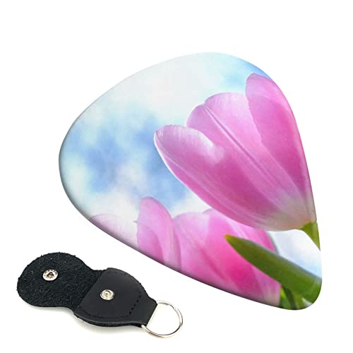 M^[sbN 6Zbg 0.46mm 0.71mm 0.96mm GLM^[ x[XpsbN EN M^[ ABSf GNgbN AR[XeBbN y S gCAO sbNi `[bv  sN j