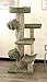 New Cat Condos Unique Cat Tree Scratcher