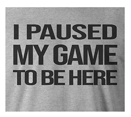 9 Crowns Tees I Paused My Game to Be here Funny Gamer T-Shirt-Paused 3 HTR Gray-3XL