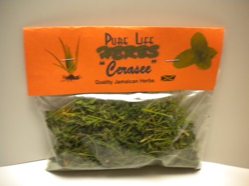 Cerasee (Momordica charanta)-8oz/Bitter melon