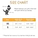 rabbitgoo Cat Harness and Leash for Walking, Escape Proof Soft Adjustable Vest Harnesses for Cats, Easy Control Breathable Reflective Strips Jacket, Emerald, XS