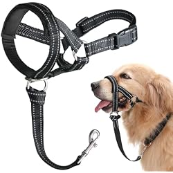 BARKLESS Dog Head Collar, No Pull Training Collar with Soft Padding | Reflective Head Halter for Medium Dogs, Beagle, Controls Pulling and Lunging with Secure Safety Strap for Daily Walks