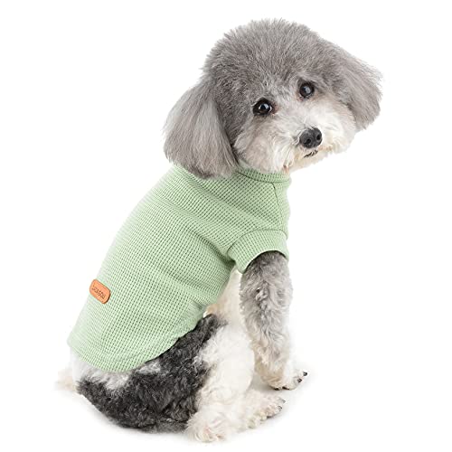 ZUNEA ���� �s�V���c ���^�� �t�� �^���N�g�b�v �_�炩�� �Ȑ� ������� ���킢�� �V���c ���� �y�b�g �h�b�O�E�F�A �m�� ������ �x�X�g�ĕ� �q�� �`���� �L �� �E�ѕی� ���U�� �O���[�� S