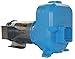 Goulds 50SPM10 Self Priming Pump, 5 HP, 230 V, 1 PH, ODP