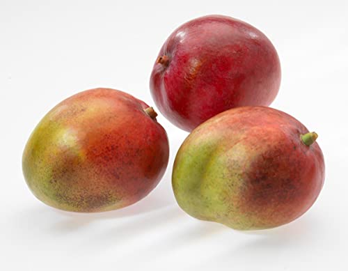 Mangoschneider Gefu Mangoteiler PARTI für einfaches Schneiden von Mangos