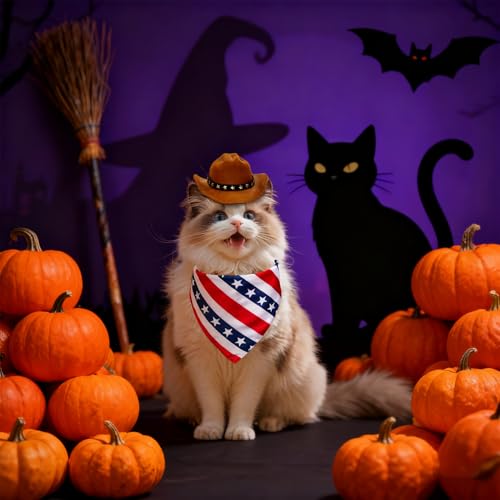 Disfraz Mini Sombrero Vaquero para Perros y Gatos miniatura 5