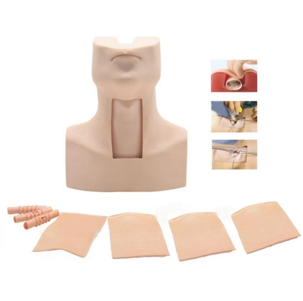 Modello di formazione della puntura della membrana cricotiroidea per professionisti medici - Pratica di intubazione della tracheostomia per studenti, medici e infermieri