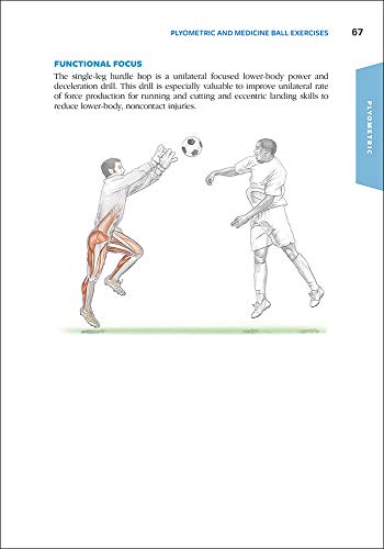 Functional Training Anatomy - Image 5