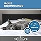 PROCAVE Matratzenbezug 100x200 cm Frottee unversteppt | Matratzen-Höhe 16-22cm | Matratzenschoner