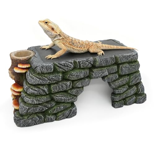 3-in-1 Bearded Dragon Basking Platform