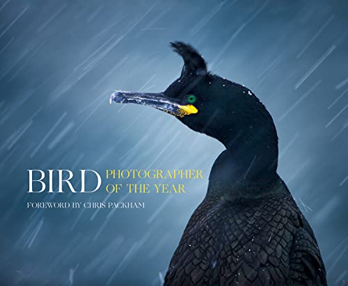 Bird Photographer Of The Year: A Beautiful Nature Photography Book Showcasing Global Wildlife