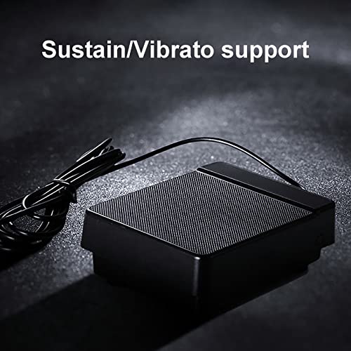 Piano pliant portable 88 touches avec pédale de sustain et sac de transport - Les Beatles, Paul McCartney, John Lennon, RIngo Starr, George Harrison Piano pliant portable 88 touches avec pédale de sustain et sac de transport – Image 8