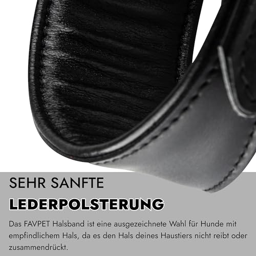 FAVPET Echtleder Windhund Halsband mit QR Code Anhänger, Weiches Lederhalsband Hund Breit Whippet Italienisches Windspiel Saluki Lurcher Spanischer Galgo Greyhound Podenco, Hundehalsband Leder (XS)