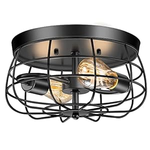 2-Light Farmhouse Ceiling Light Fixtures, Industrial Hallway Light, Vintage Black Metal Cage Ceiling Lamp for Living Room, Kitchen, Bedroom