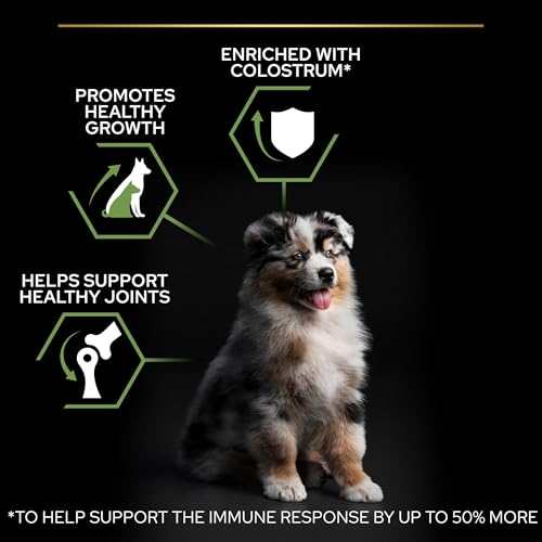 Pro Plan Medium Puppy Healthy Start, Welpenfutter trocken, reich an Huhn, 1er Pack (1 x 12 kg)