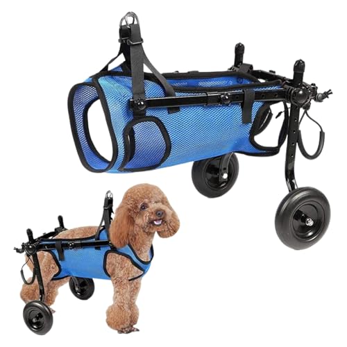 Sedia a rotelle per zampe posteriori, sedia a rotelle a due ruote, taglia M, tutore regolabile per gamba del cane e supporto per anca per gamba posteriore, arti posteriori disabili, artrite