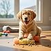 Nilioyul Schnüffelspielzeug Hundespielzeug, Hund Intelligenz Unzerstörbar Quietschend Interaktives Stoffspielzeuge Gelb Schneckenform Futtersuche Instinkt Training, für Große Mittlere Kleine Hunde