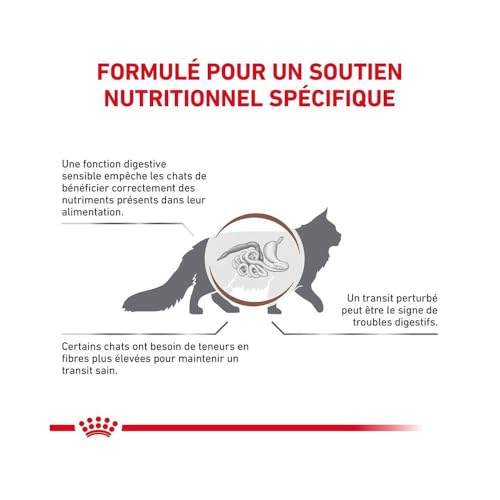 Royal Canin Gastro Intestinal Fibre Response | 12 x 85 g | Diät-Alleinfuttermittel für Adulte Katzen | Für Katzen mit chronischer Verstopfung oder ähnlichen Magen-Darm-Problemen