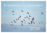 Photo Gallery kraniche in vorpommern (wandkalender 2026 din a2 quer), calvendo monatskalender: fotoaufnahmen von kranichen aus der region vorpommern. Photo Gallery kraniche in vorpommern (wandkalender 2026 din a2 quer), calvendo monatskalender: fotoaufnahmen von kranichen aus der region vorpommern.