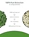 Moringa Capsules 1000mg, Moringa Leaf Extract 10:1, Complete Green Superfood, for Energy, Sleep, Immune & Gut Health, Veg Capsules 60 Count, All-Natural, Non-GMO, Made in USA