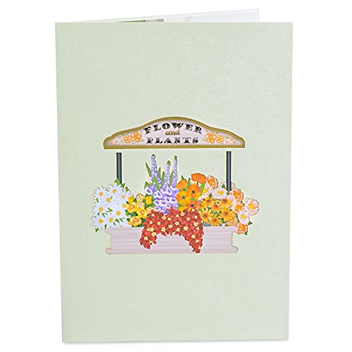 Paper Love 3D Pop Up Card, Flower Bike, Handmade Popup Greeting Cards, For Thanksgiving, Thank You, Thinking Of You, Fall, Get Well, Just Because, Mother's Day, All Occasion, 5" X 7" #TOP1