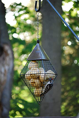 Wildlife Sciences Suet Balls 24 Pack, 6 Individually Wrapped Packs of 4 Bird Suet Balls (Hot Pepper Blend) - Thumbnail 3