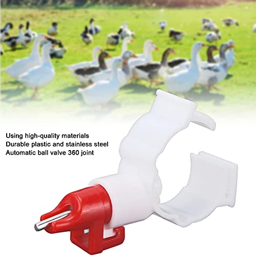 Copos suspensos para bebedouro de frango, copo para beber pato limpo ajustável para aves(Bebedouro)
